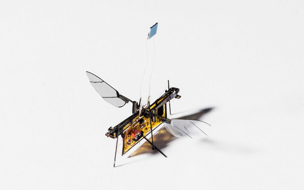 Robofly: Η πρώτη ρομποτική μύγα άνοιξε τα φτερά της! (vd)