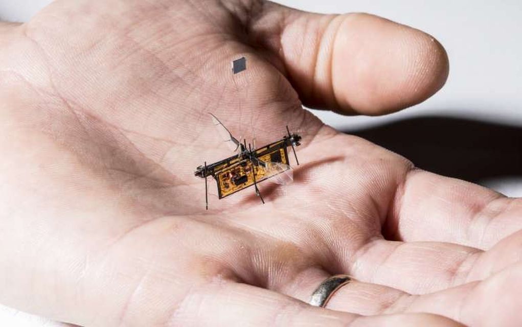 Στον "αέρα" το πρώτο ρομποτικό έντομο!
