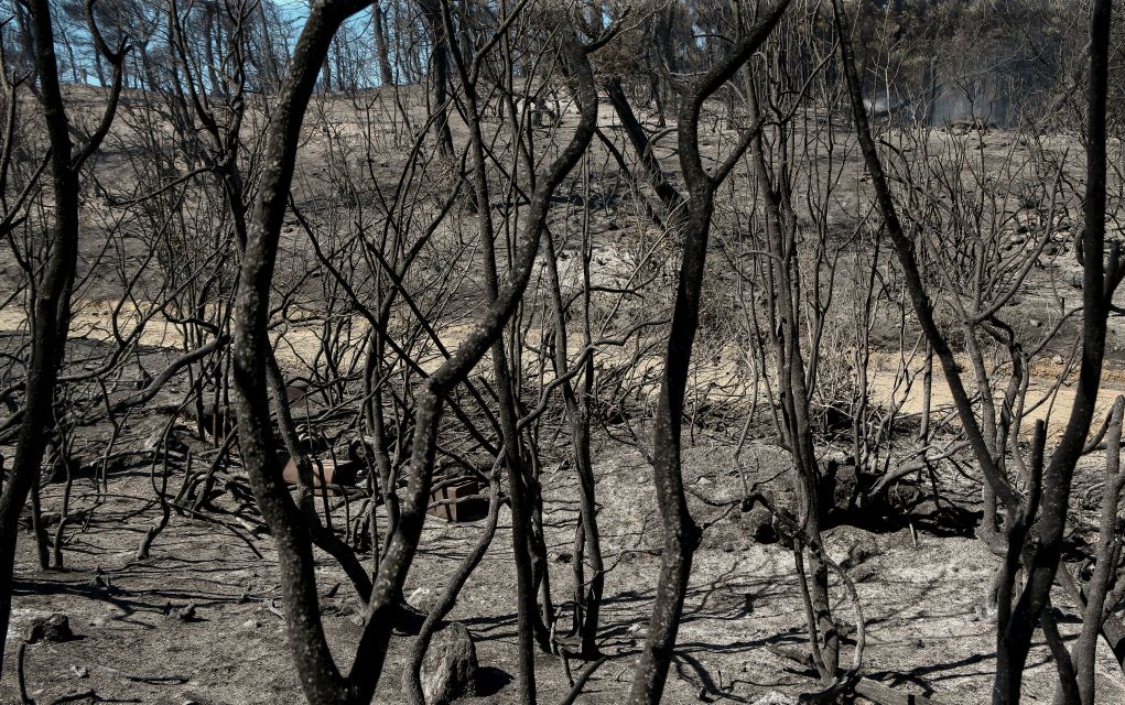 Μεγάλη πυρκαγιά στην Τοσκάνη-Εκκενώνονται χωριά