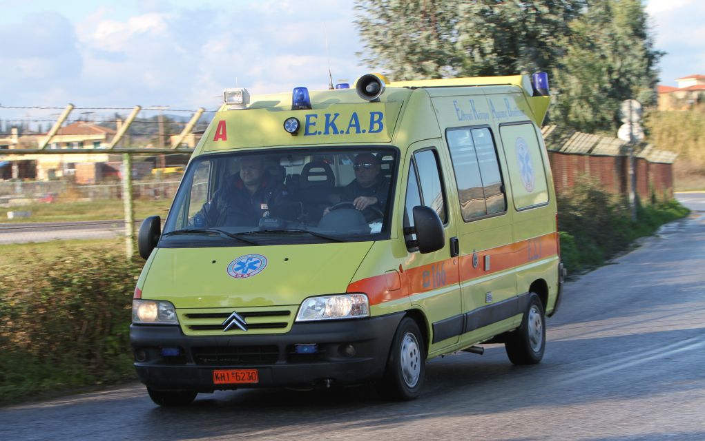 Γυναίκα πέθανε από τσίμπημα μέλισσας στο Βελβεντό - Κοζάνης