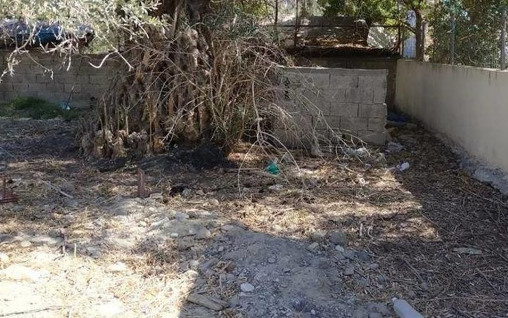 Άγνωστοι έκαψαν ζωντανό έναν σκύλο στην Κρήτη