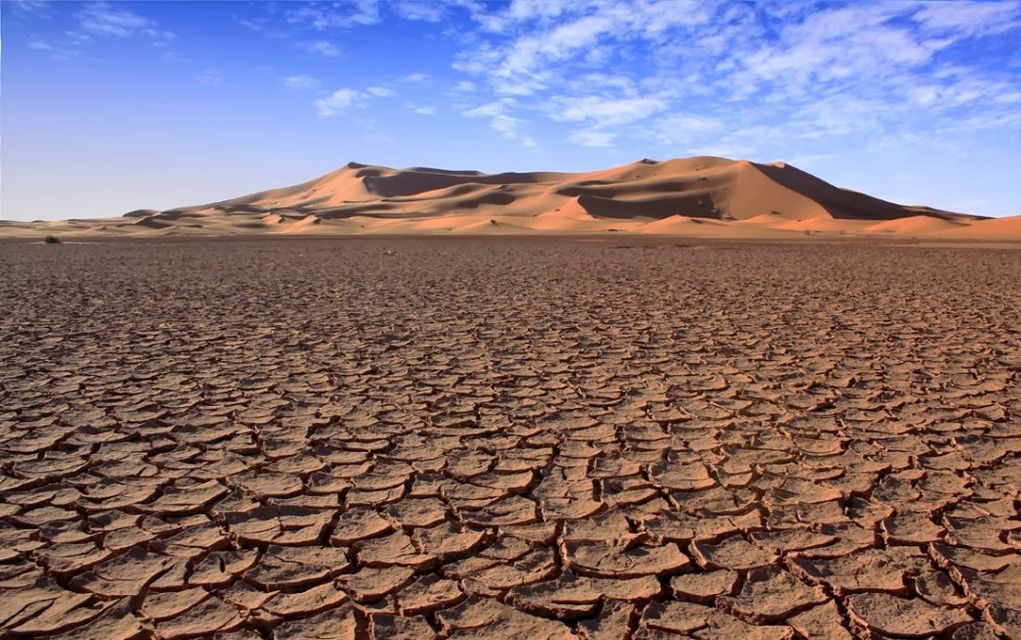 Το 1/3 των εδαφών της Ελλάδας κινδυνεύουν να γίνουν έρημος