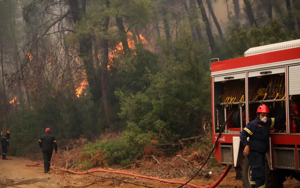 Ηλεία: Υπό μερικό έλεγχο η πυρκαγιά στη δασική έκταση