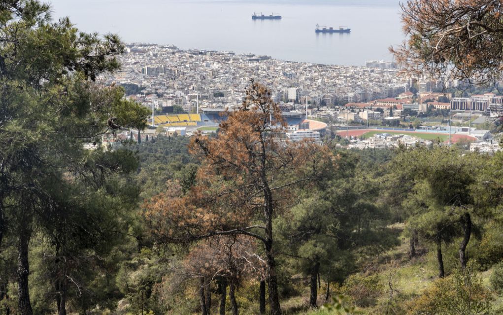 Θεσσαλονίκη: Απαγόρευση κυκλοφορίας και σήμερα στο Σέιχ Σου και στο Δασόκτημα Ωραιοκάστρου