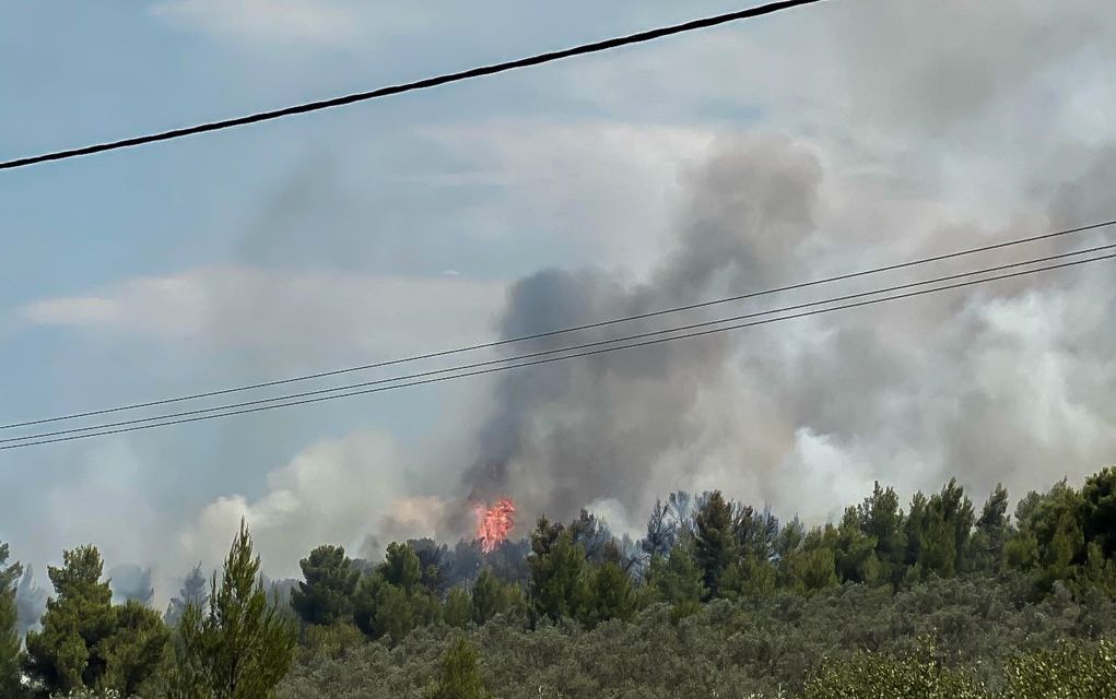 Αργολίδα: Φωτιά σε δασική έκταση στο Μεσοβούνι