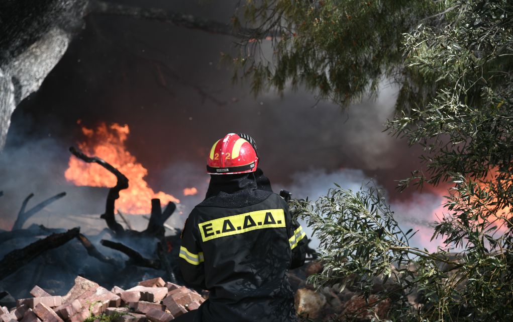 Κρήτη: Πυρκαγιά στην Αγία Πελαγία