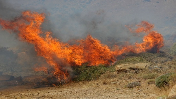 Πυρκαγιά μέσα στο Άλσος Βεΐκου στο Γαλάτσι