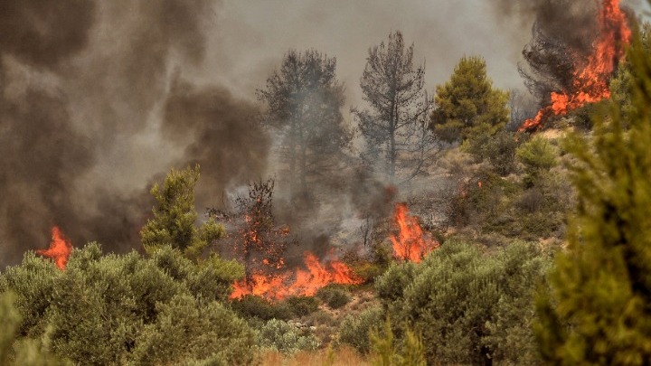 Κόρινθος: Φωτιά στην περιοχή Καλαμάκι - Δεν υπάρχει άμεσος κίνδυνος για κατοικίες