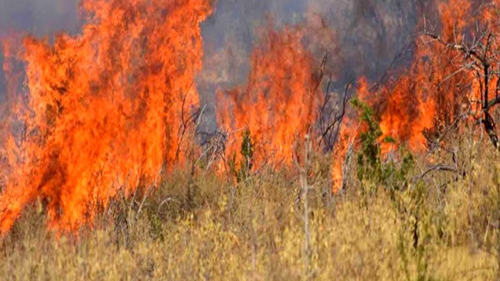 Aττική: Πυρκαγιά στην Αγία Μαρίνα Κορωπίου