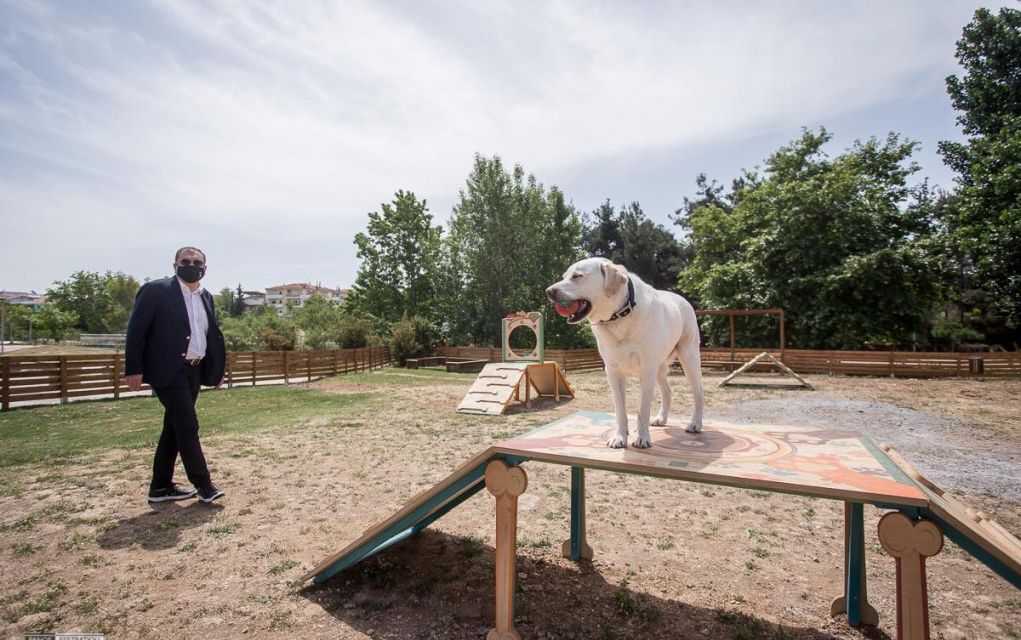 Θεσσαλονίκη: Έτοιμο το πρώτο πάρκο σκύλων στο Ελαιόρεμα! (pics)