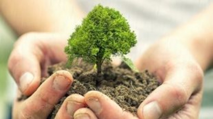 Έρευνα: Το φύτεμα νέων δέντρων στην Ευρώπη μπορεί να αυξήσεις κατά 7,6% τις ετήσιες καλοκαιρινές βροχές