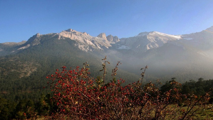Χωρίς αποτέλεσμα οι έρευνες για τον εντοπισμό του 35χρονου ορειβάτη στον Όλυμπο
