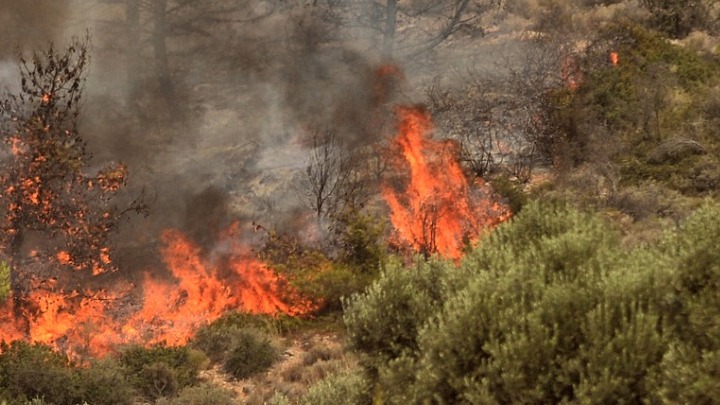 Φωτιά στον Έβρο: Εκκενώνεται οικισμός για προληπτικούς λόγους