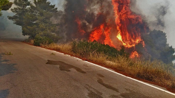 Πολύ υψηλός κίνδυνος πυρκαγιάς αύριο σε Θεσσαλονίκη και Χαλκιδική - Δείτε τον Χάρτη Πρόβλεψης Κινδύνου Πυρκαγιάς