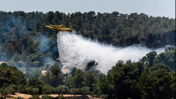 Καταλονία: Πυρκαγιά σε φυσικό δάσος (pic)
