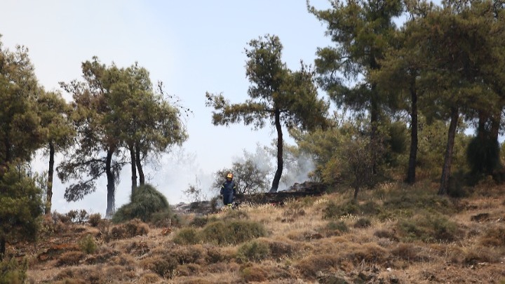 Πυρκαγιά-Σέιχ Σου: 90 στρέμματα δάσους έγιναν στάχτη - Οριοθετήθηκε η φωτιά