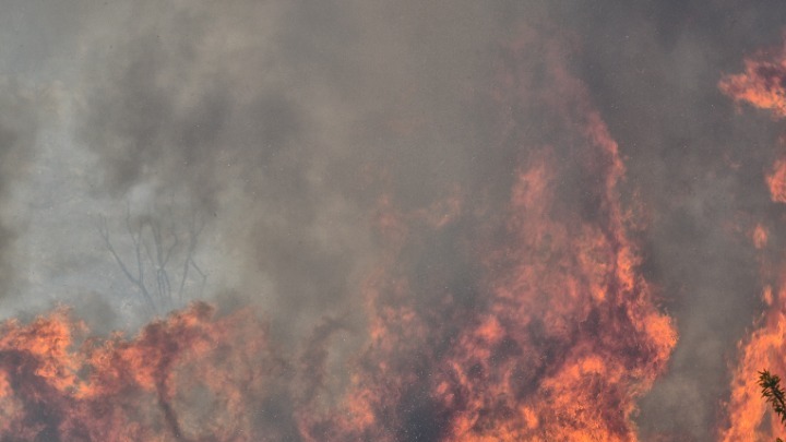 Αχαΐα: Μεγάλη φωτιά κοντά στη Πάτρα - Εκκενώνεται το Σούλι - Σπίτια στις φλόγες (vids)