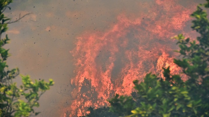 Εύβοια: Φωτιά στα Μεσοχώρια - Προληπτική εκκένωση του οικισμού (pics & vids)