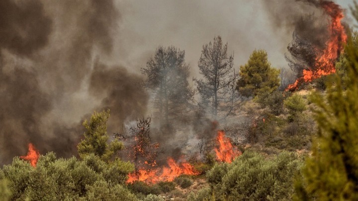 Σε ύφεση οι πυρκαγιές σε Σέρρες και Χαλκιδική