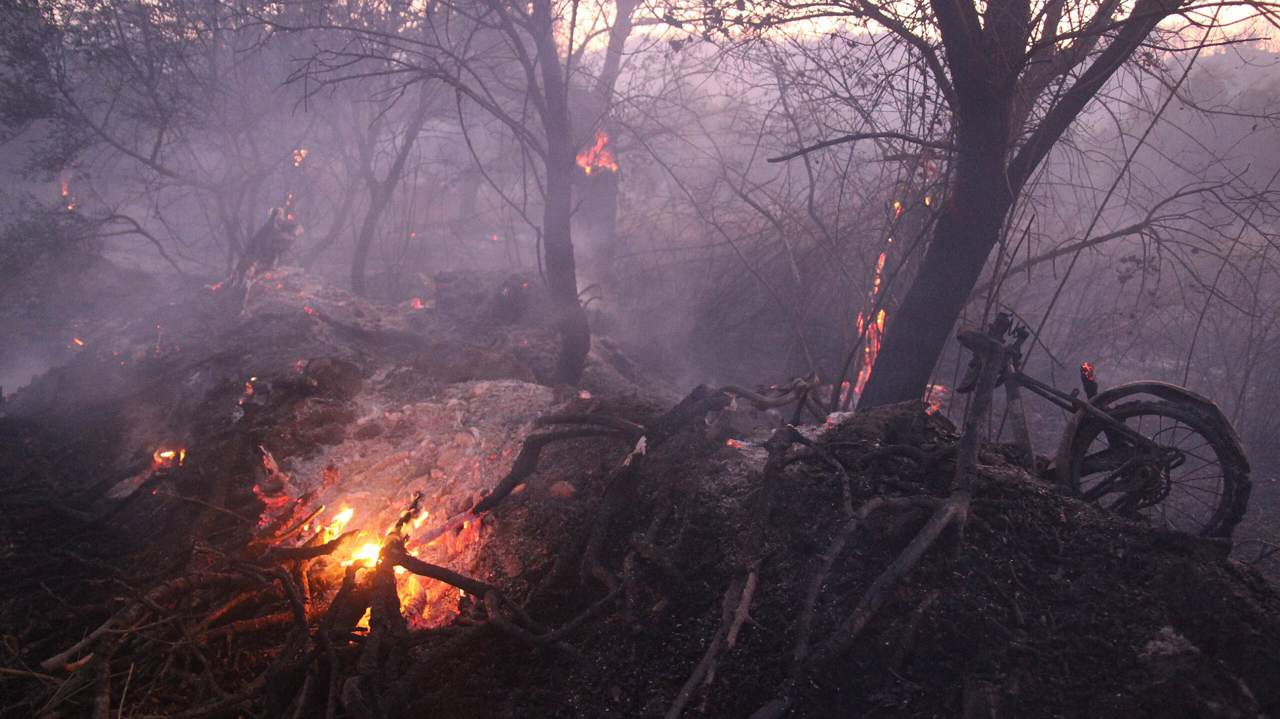 Απίστευτο βίντεο από Βίλια: Στρόβιλος φωτιάς εκτοξεύει κορμό δέντρου προς τους πυροσβέστες