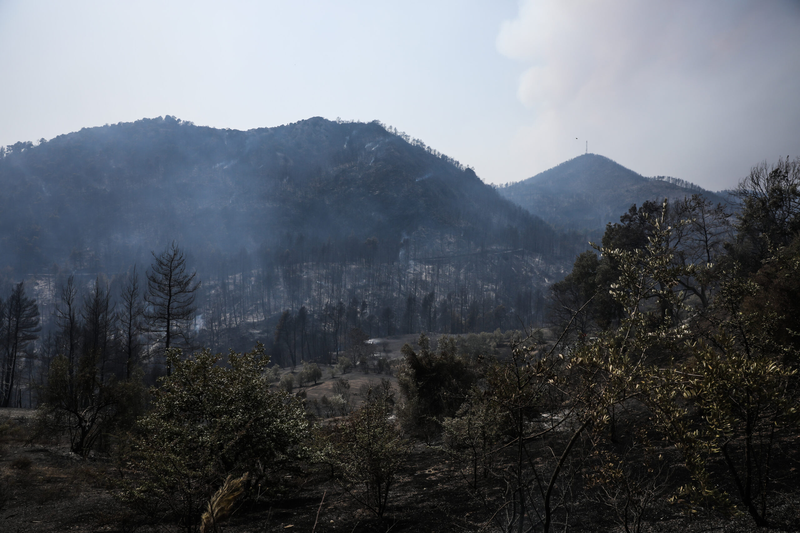 Πυρκαγιά στην Εύβοια: Drone πάνω από τις καμένες εκτάσεις - Όλη η καταστροφή σε ένα βίντεο