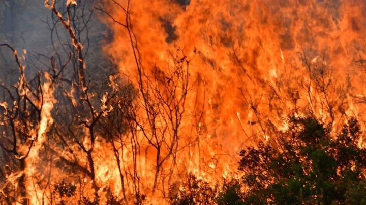 Φωτιά στη Μεσσηνία: Κοντά στα χωριά της Μεγαλόπολης οι φλόγες
