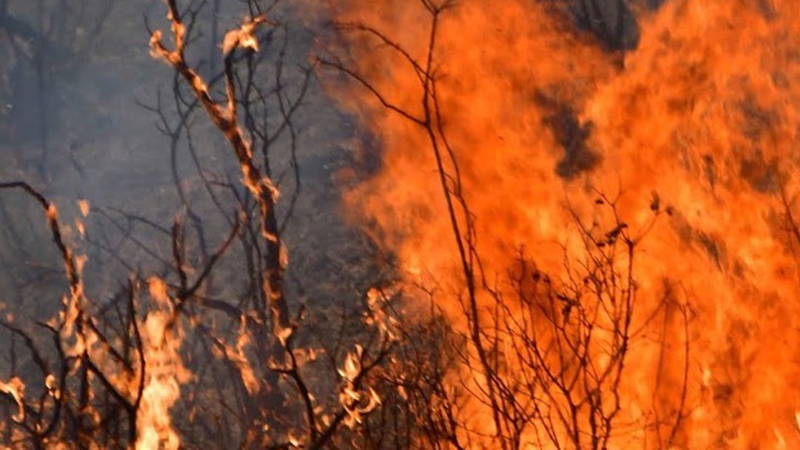 Tρίκαλα: Φωτιά στα Στουρναρέικα - Επιχειρεί ελικόπτερο (vids)