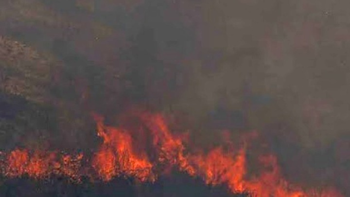 Φθιώτιδα: Οριοθετήθηκε η φωτιά στο Λογγίτσι