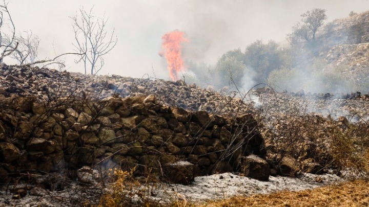 Ιταλία: Πυρκαγιές μαίνονται στη Σικελία - 59 ενεργές εστίες στην Καλαβρία