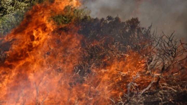 Καβάλα - Αντιφιλίππους: Υπό έλεγχο τέθηκε η πυρκαγιά (vid)