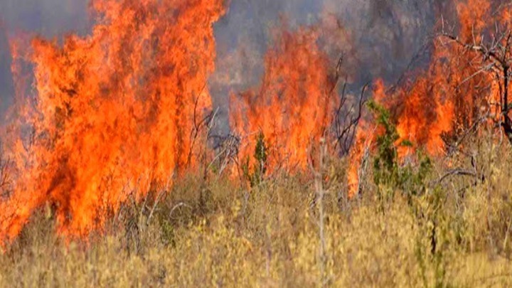 Γρεβενά: Καλύτερη εικόνα παρουσιάζει η φωτιά στην Δεσκάτη