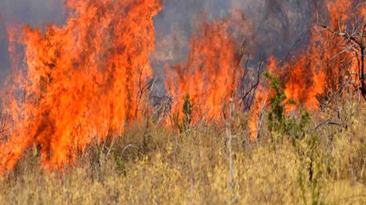 Άρτα: Μεγάλη φωτιά - Εκκενώνεται ο οικισμός του Μύτικα