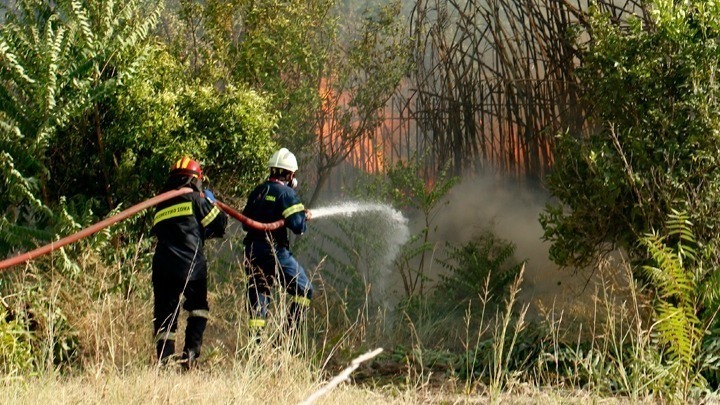Εύβοια: Φωτιά στο Θύμι Καρύστου