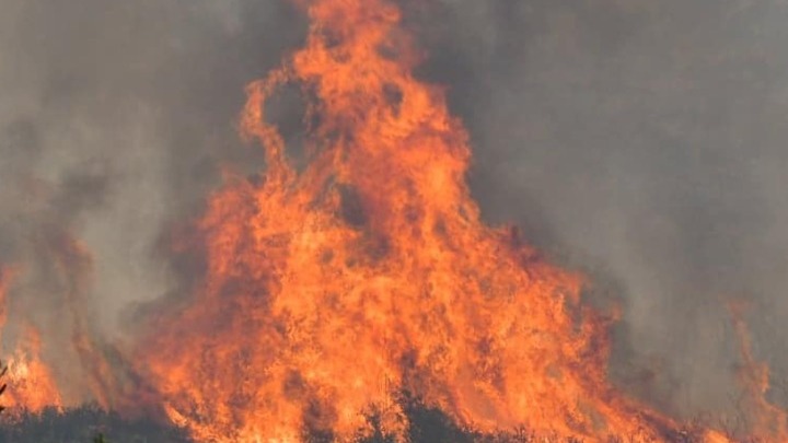 Φωτιά στις Αφίδνες: Πλησιάζει στο Καπανδρίτι η φωτιά - Μάχη από εθελοντές και πυροσβέστες