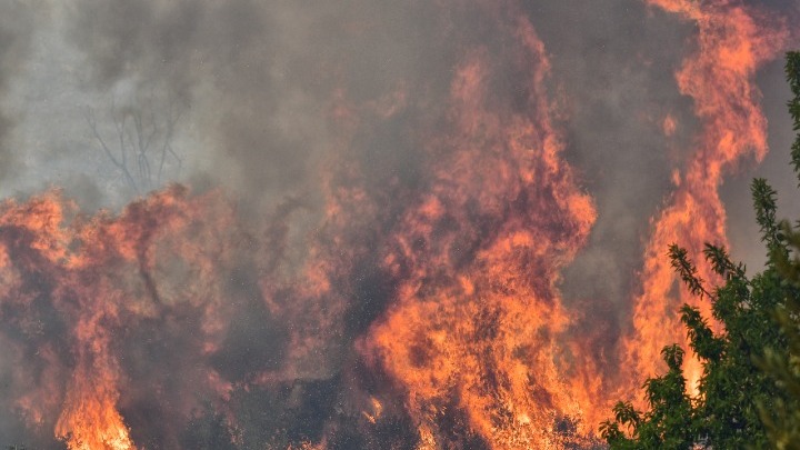 Ελλάδα - Πυρκαγιές: Σαράντα πέντε δασικές πυρκαγιές το τελευταίο 24ωρο