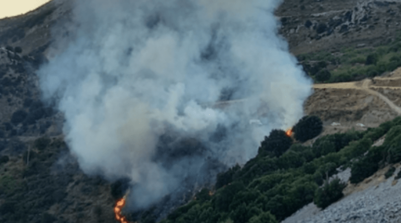 ΤΩΡΑ: Φωτιά στο Λασίθι - Επί τόπου οι πυροσβεστικές δυνάμεις