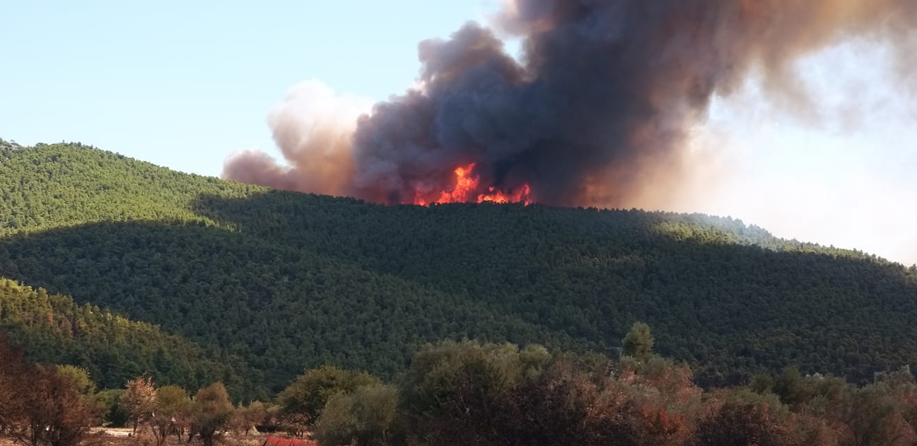 Φωτιά στα Βίλια: Καίγονται τα πρώτα σπίτια - Ενισχύονται οι πυροσβεστικές δυνάμεις (vids & pic)