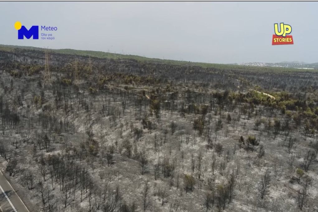 Φωτιά στην Βαρυμπόμπη: Εικόνες απόλυτης καταστροφής από Drone