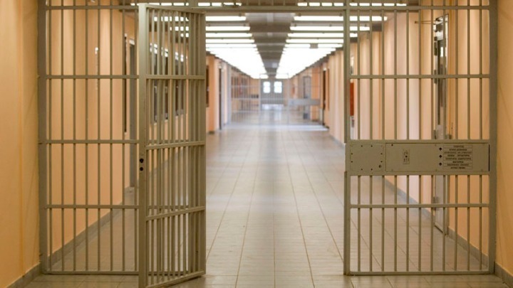 Χρυσή Αυγή: "Όχι" στην αποφυλάκιση των Π. Ηλιόπουλου και Ν. Μίχου